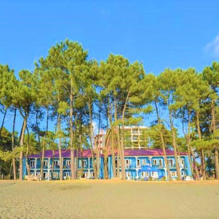 Evrika Hotel Shekvetili Luaran gambar
