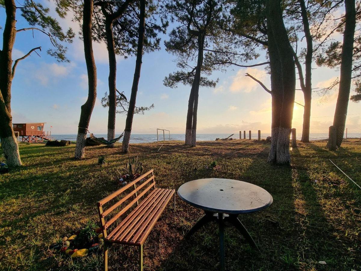 Evrika Hotel Shekvetili Luaran gambar