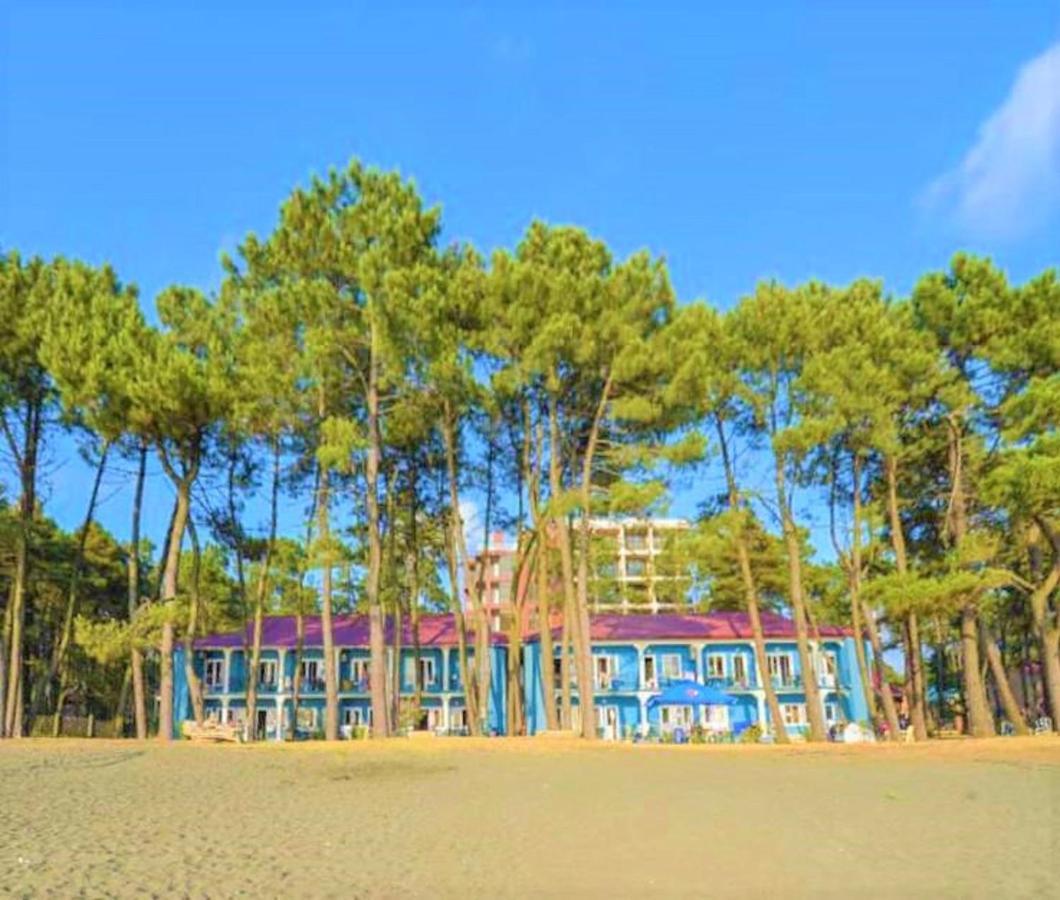 Evrika Hotel Shekvetili Luaran gambar