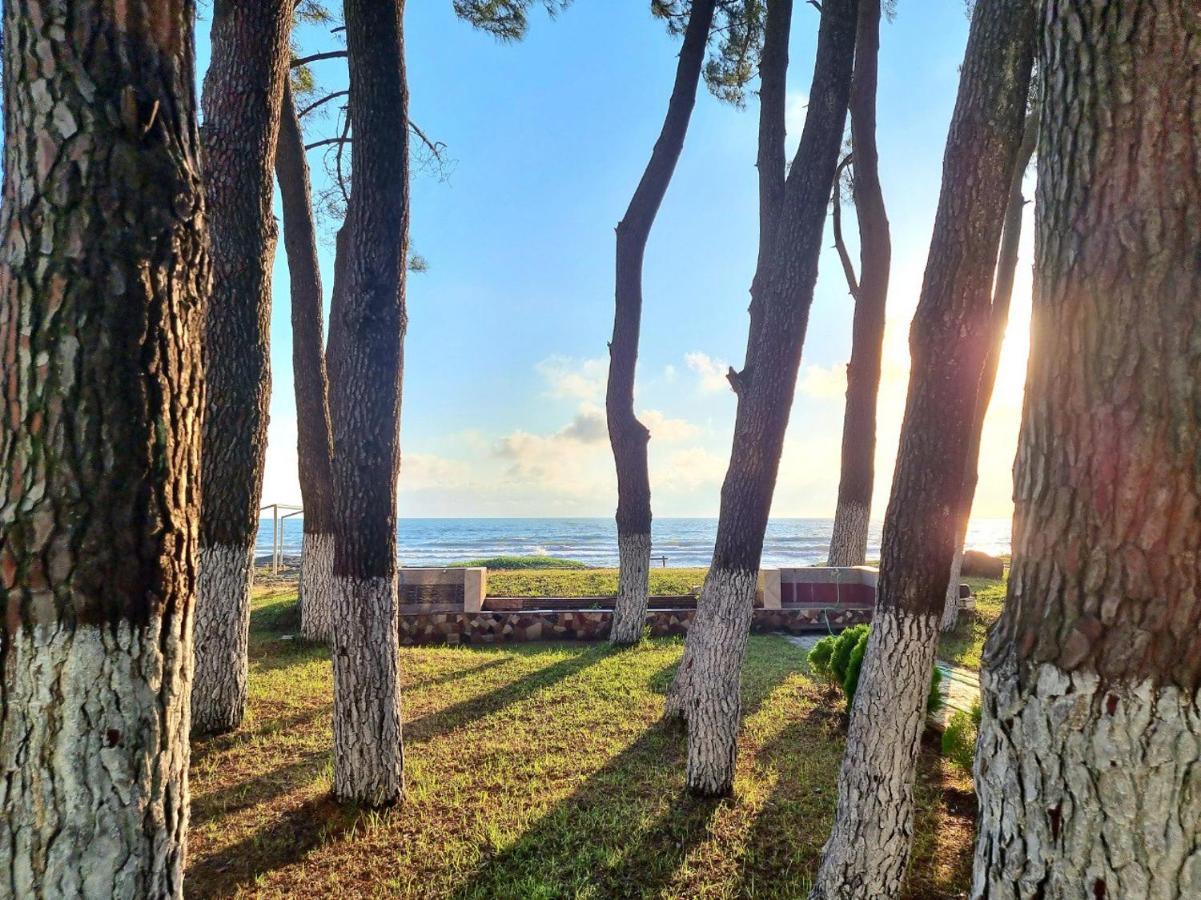 Evrika Hotel Shekvetili Luaran gambar
