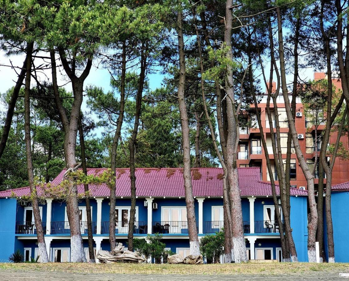 Evrika Hotel Shekvetili Luaran gambar